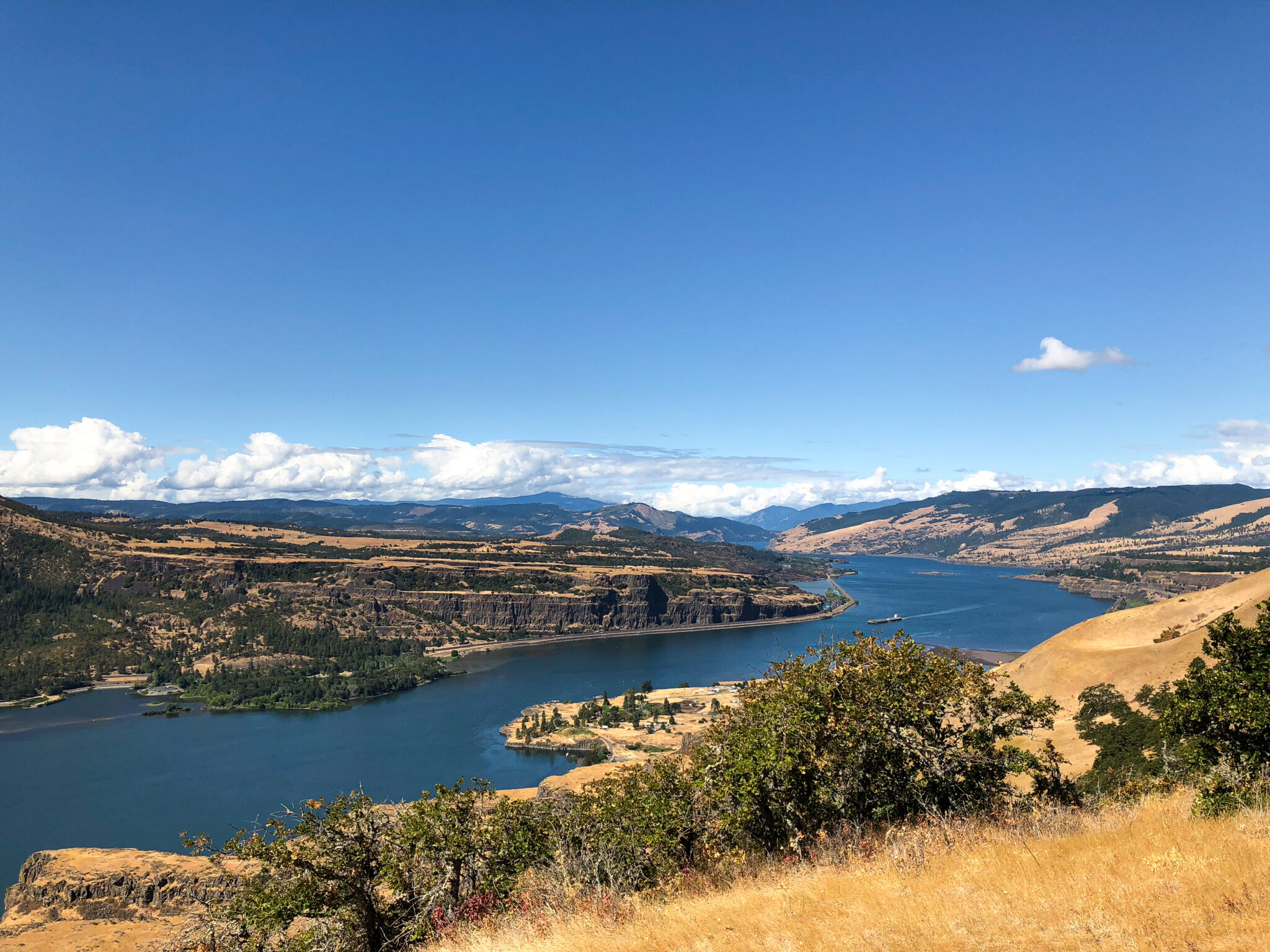 Looking out over the Columbia River Gorge from Lyle Cherry Orchard.